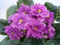 РС Древняя магия