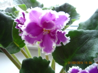 ЕК Русский сувенир