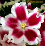 ЛЕ Карусель