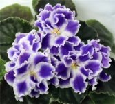 Летние сумерки(Морев)